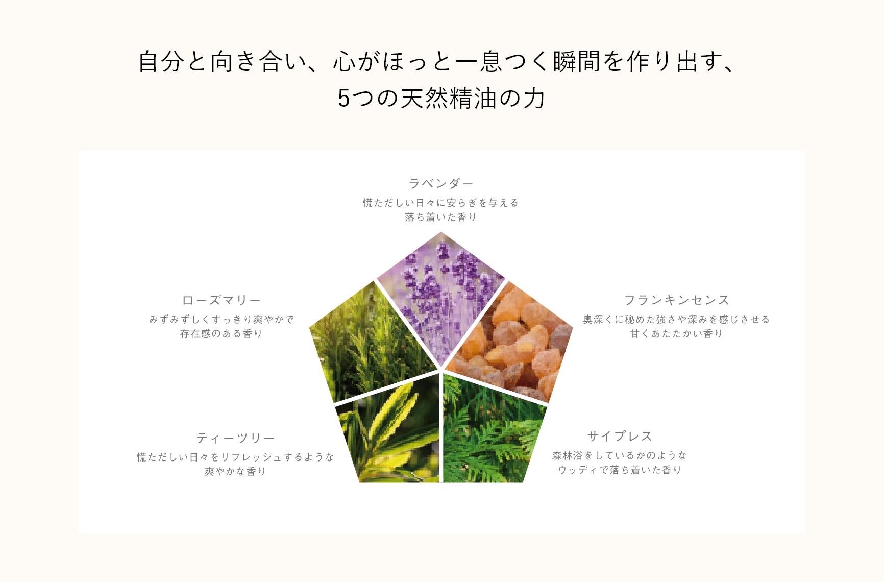 公式】Mitea ORGANIC (ミティア オーガニック) ｜ナチュラル